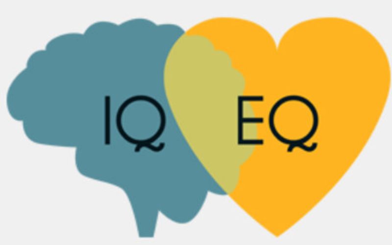 Điểm khác biệt giữa một đứa trẻ có EQ cao và một đứa trẻ bình thường là gì? 1 Điểm khác biệt giữa một đứa trẻ có EQ cao và một đứa trẻ bình thường là gì?