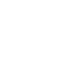 ico 10