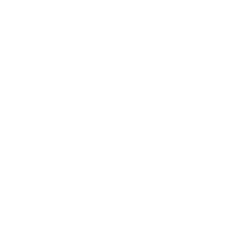 ico 12